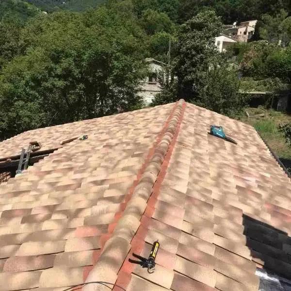 Nettoyage de toiture à Valbonne